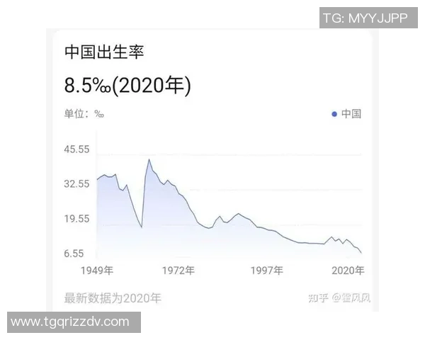 杭州篮球队实力飙升创历史新高引发全国关注与热议